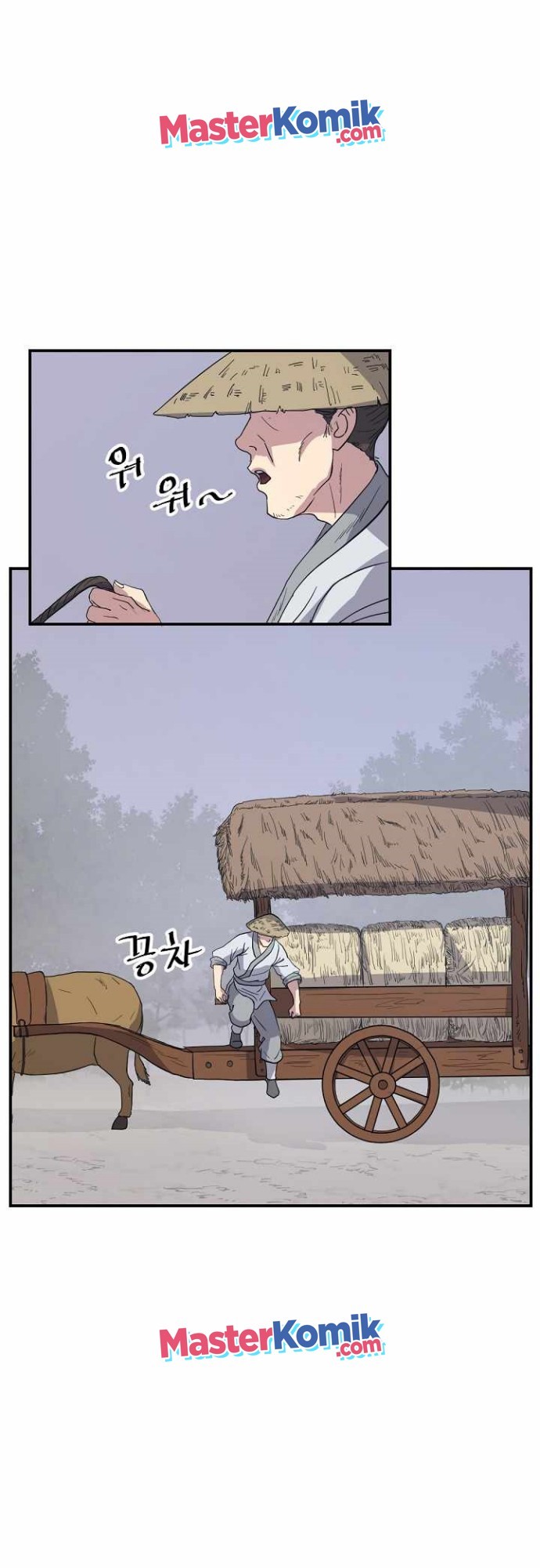 The Invincible Immortal