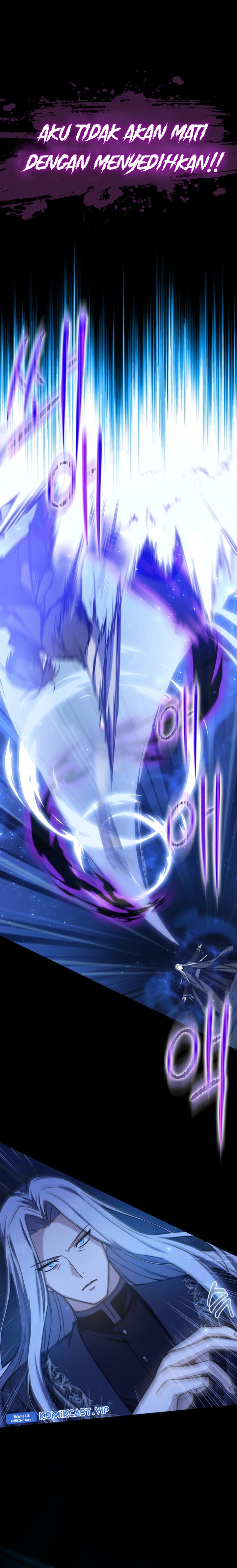 The Reincarnated Assassin is a Genius Swordsman