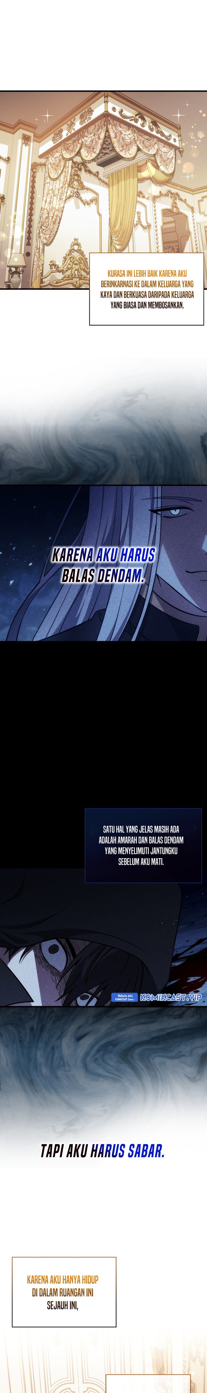 The Reincarnated Assassin is a Genius Swordsman