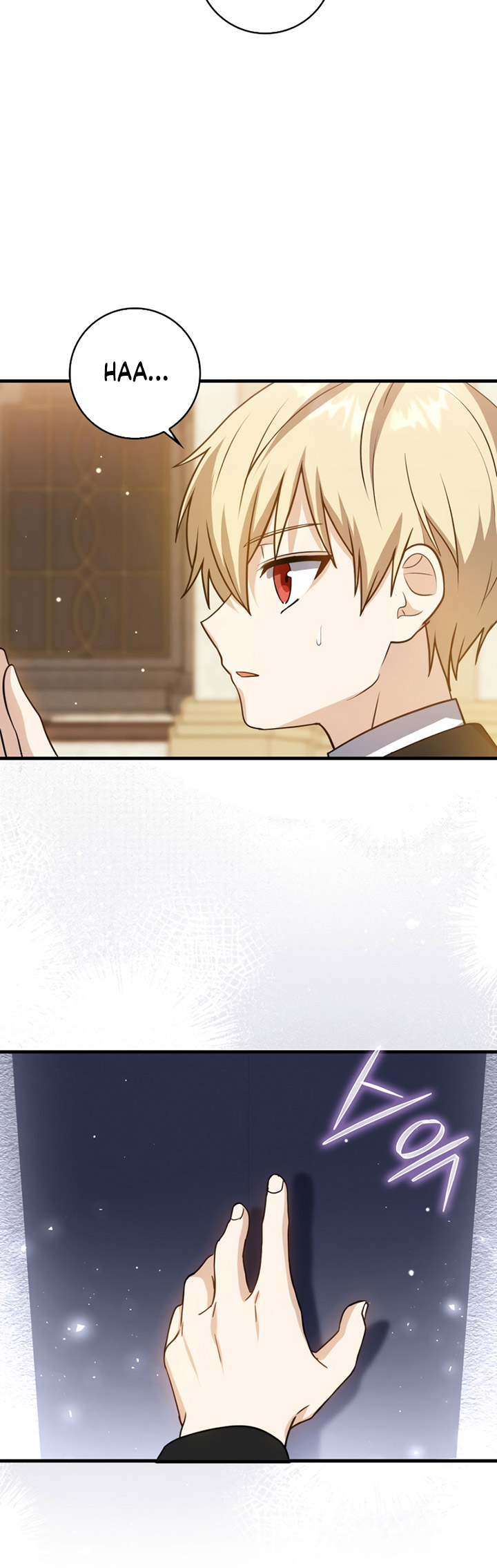 The Reincarnated Assassin is a Genius Swordsman