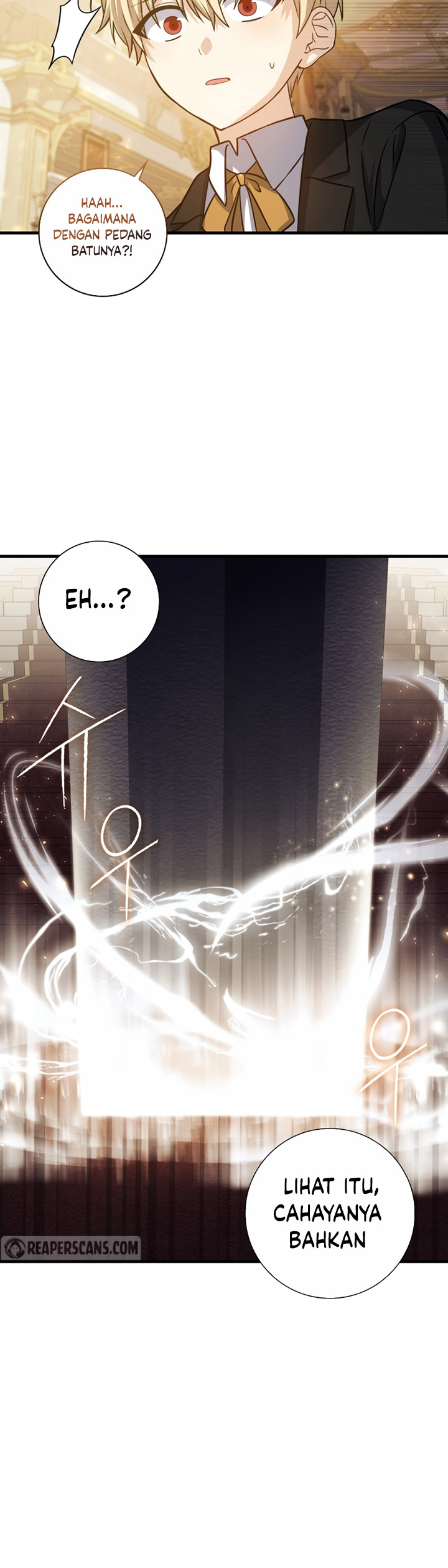 The Reincarnated Assassin is a Genius Swordsman