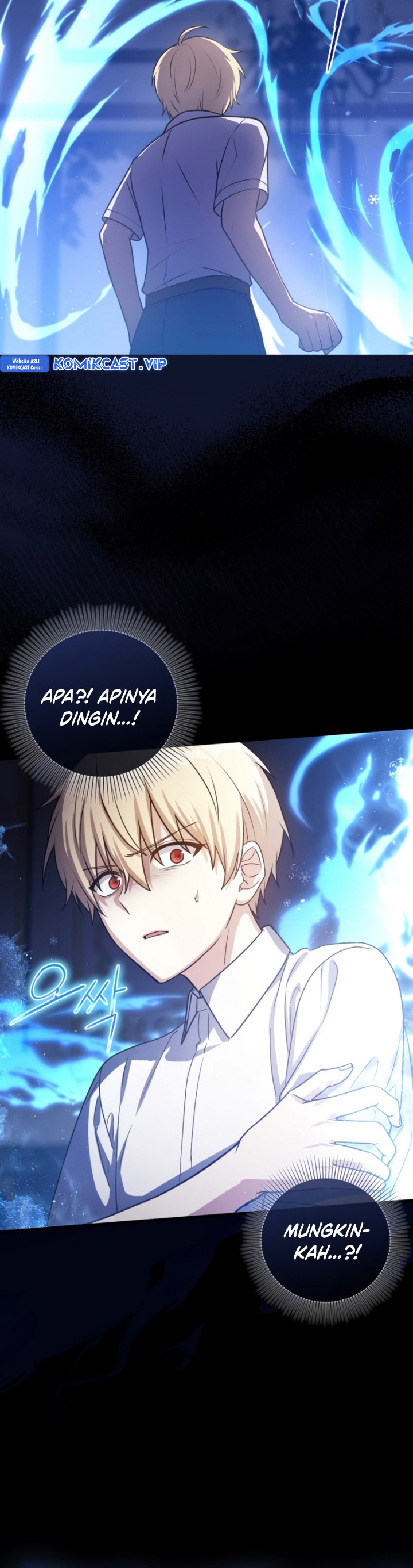 The Reincarnated Assassin is a Genius Swordsman