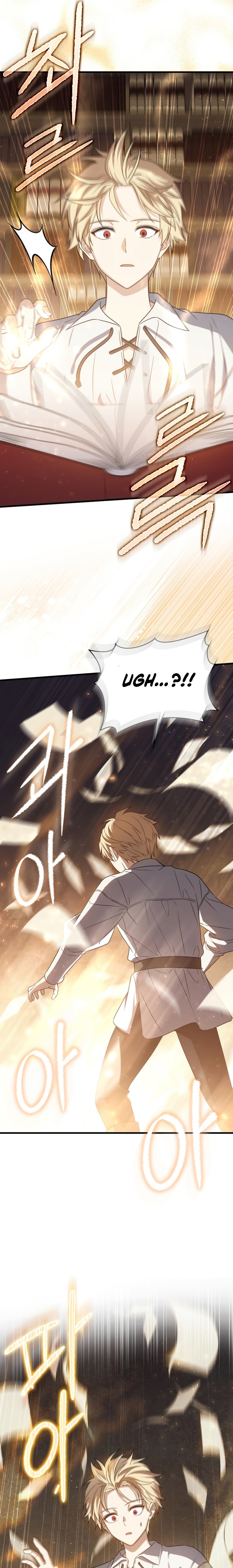 The Reincarnated Assassin is a Genius Swordsman