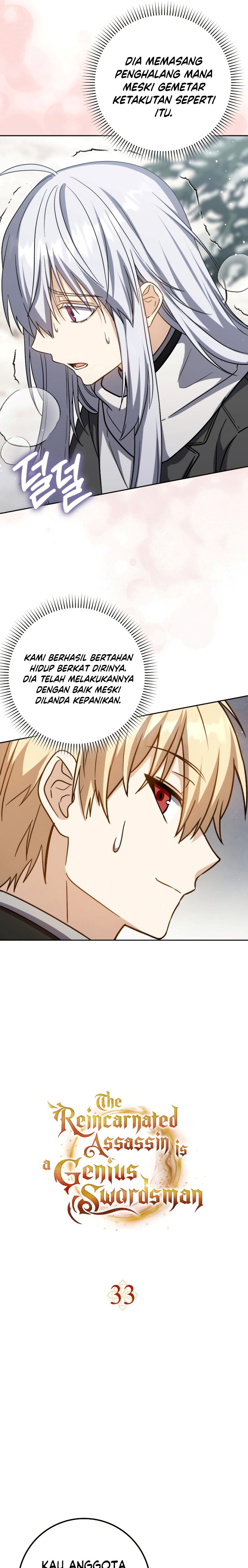 The Reincarnated Assassin is a Genius Swordsman