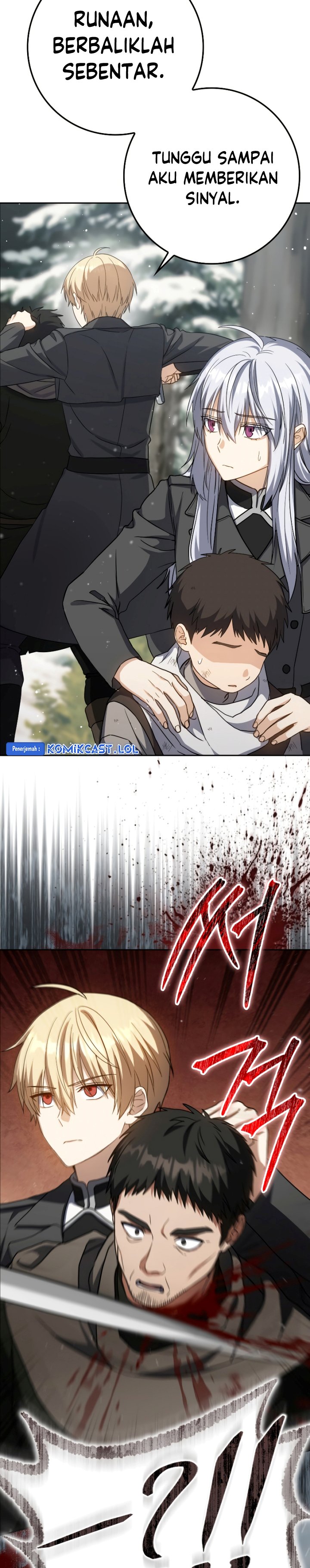 The Reincarnated Assassin is a Genius Swordsman
