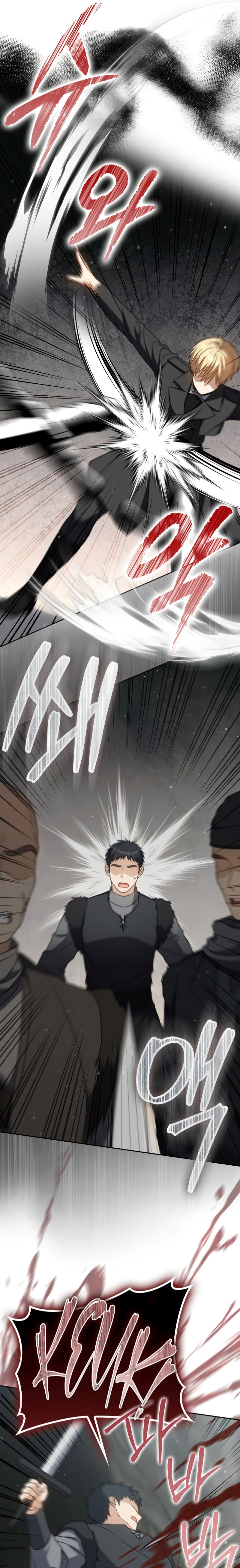 The Reincarnated Assassin is a Genius Swordsman
