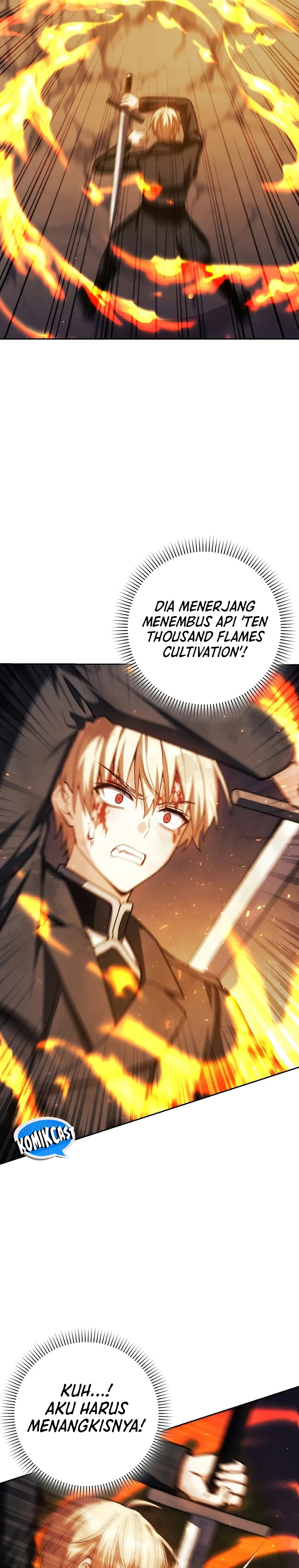 The Reincarnated Assassin is a Genius Swordsman Chapter 47