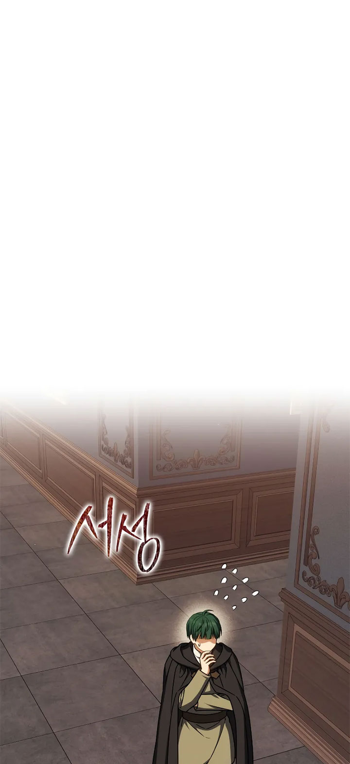 The Reincarnated Assassin is a Genius Swordsman
