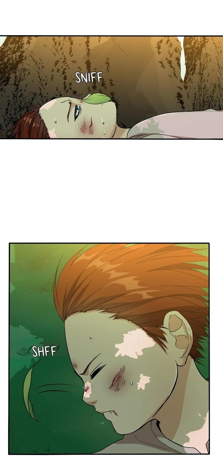 The Beginning After the End (The King Grey Reincarnation)
