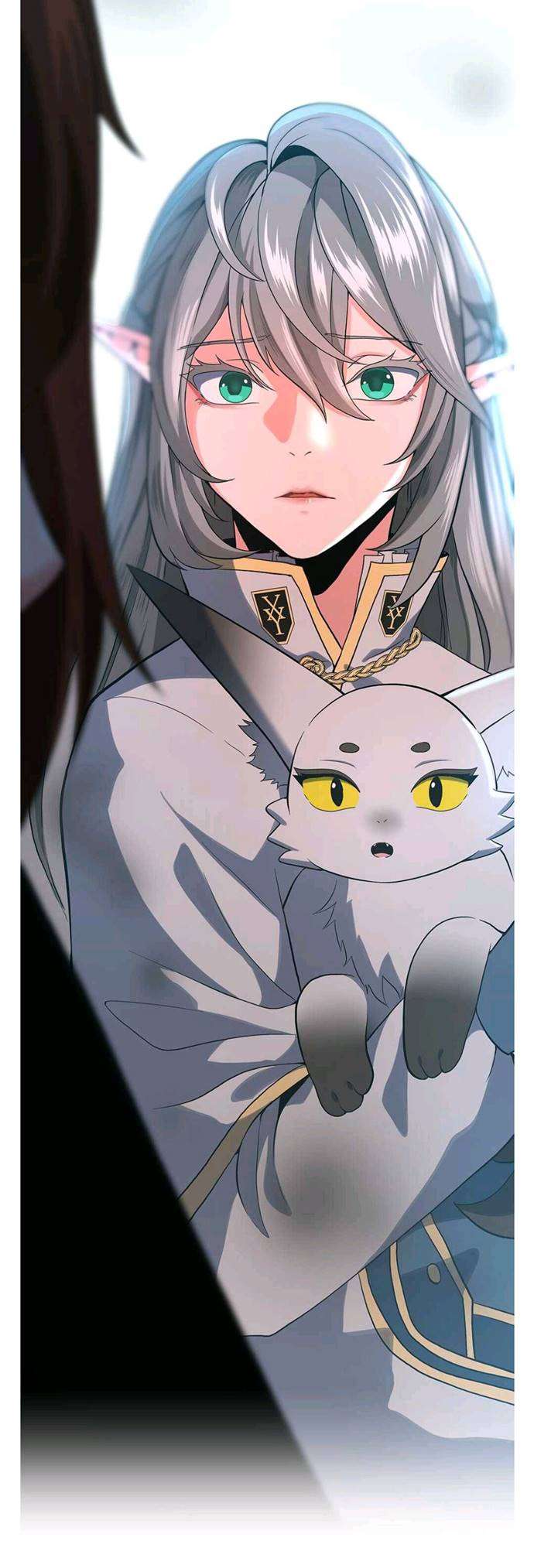 The Beginning After the End (The King Grey Reincarnation)