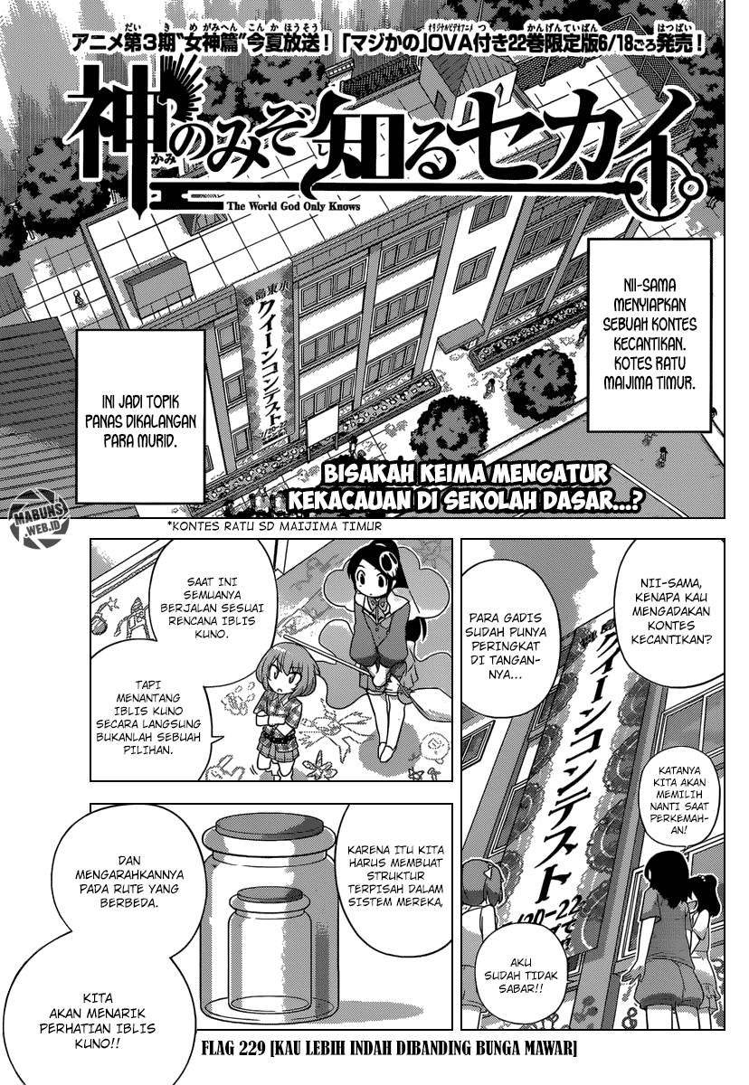 The World God Only Knows Chapter 229