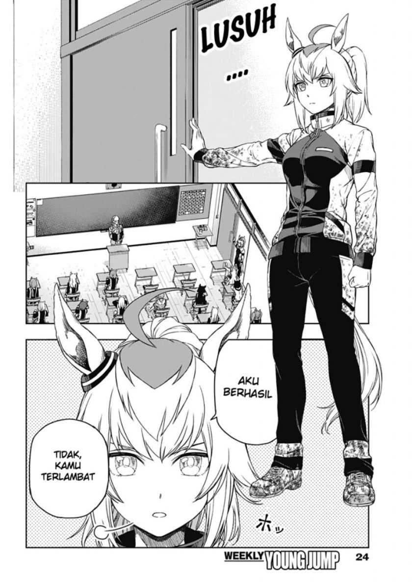 Uma Musume: Cinderella Gray