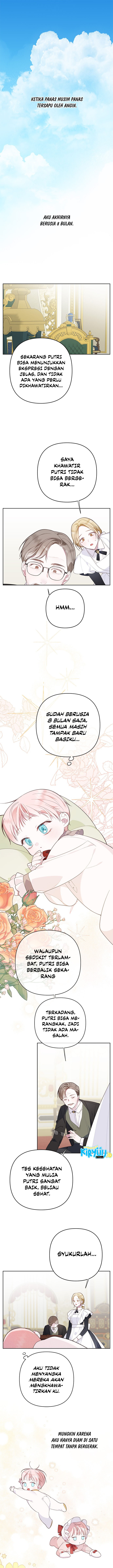 Baby Tyrant