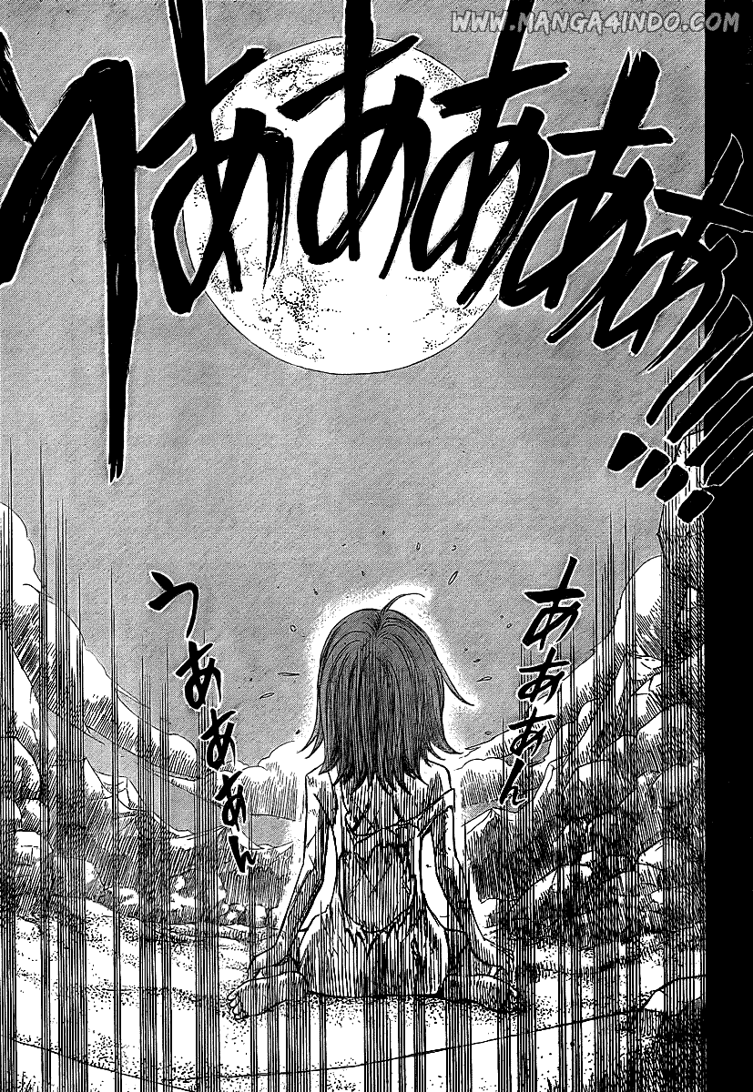 Fairy Tail