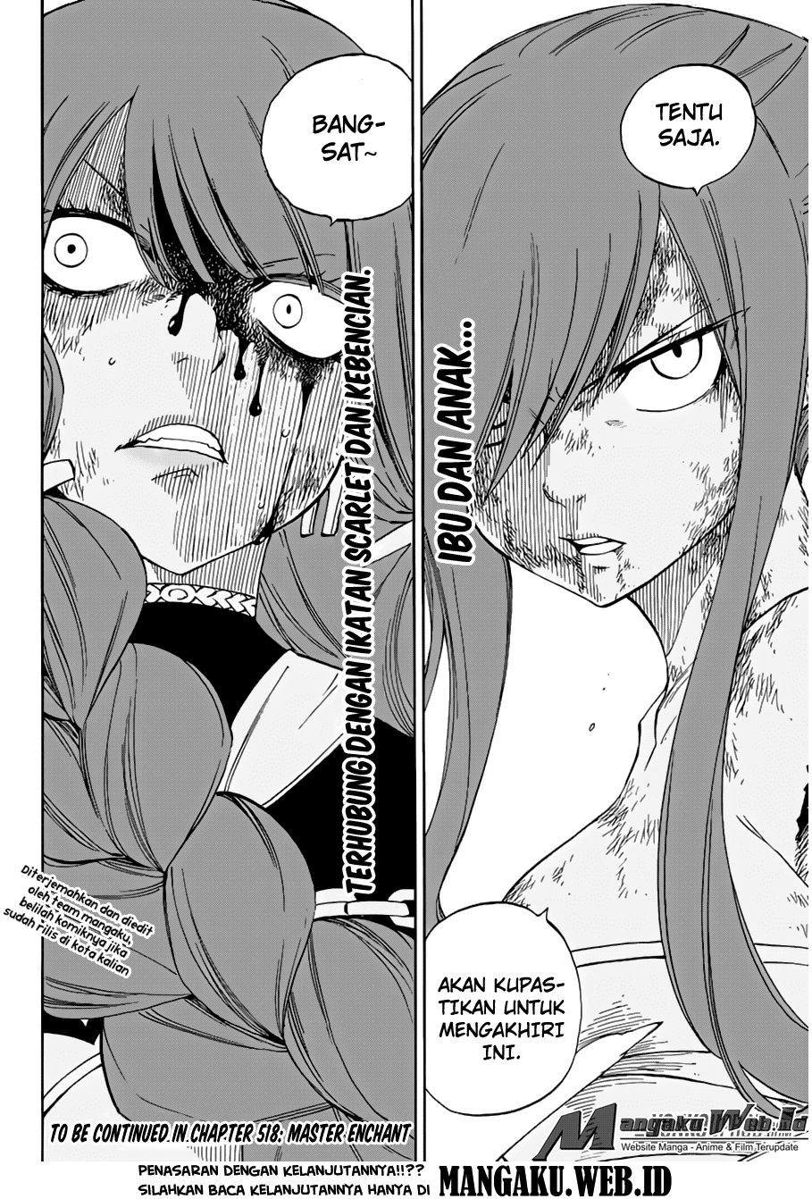 Fairy Tail Chapter 517