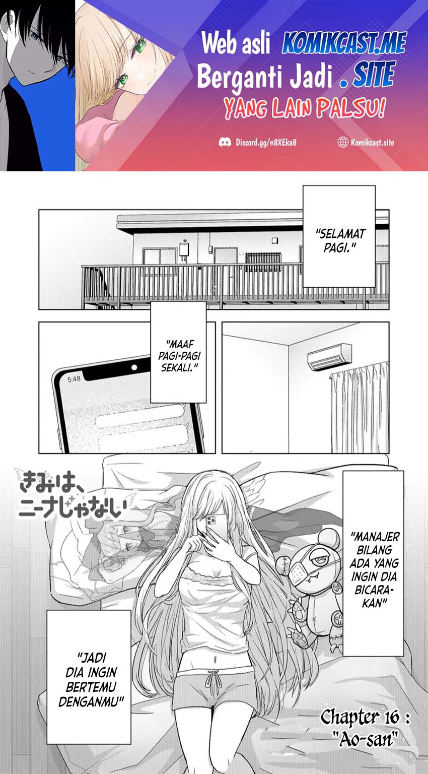 Kimi wa, Nina Janai