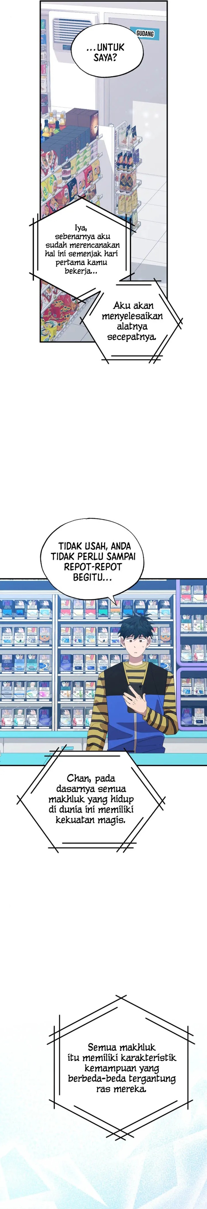 Magical Realm Shopkeeper
