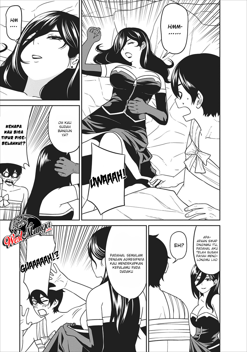 Maou Gun Saikyou no Majutsushi wa Ningen datta