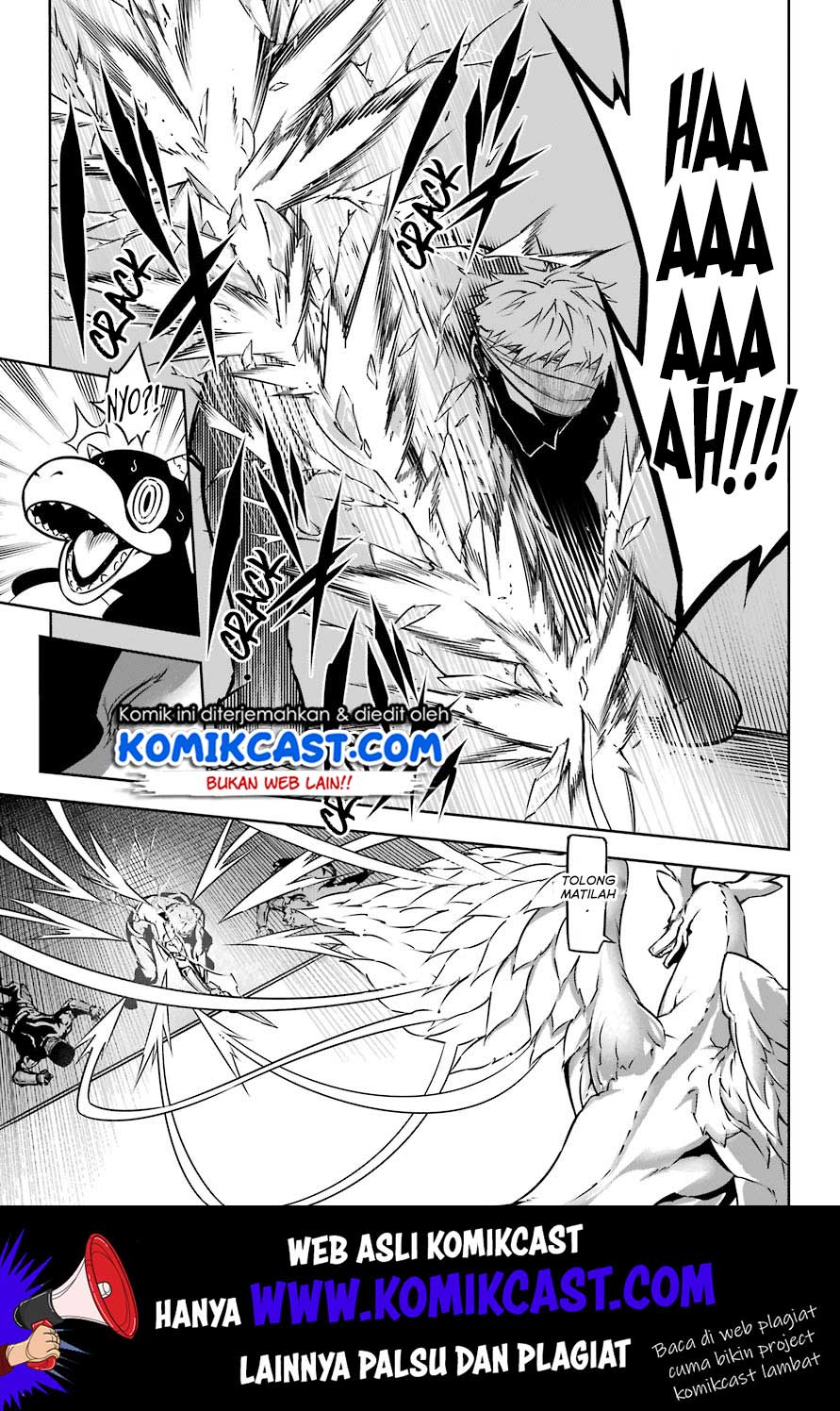 Ragna Crimson