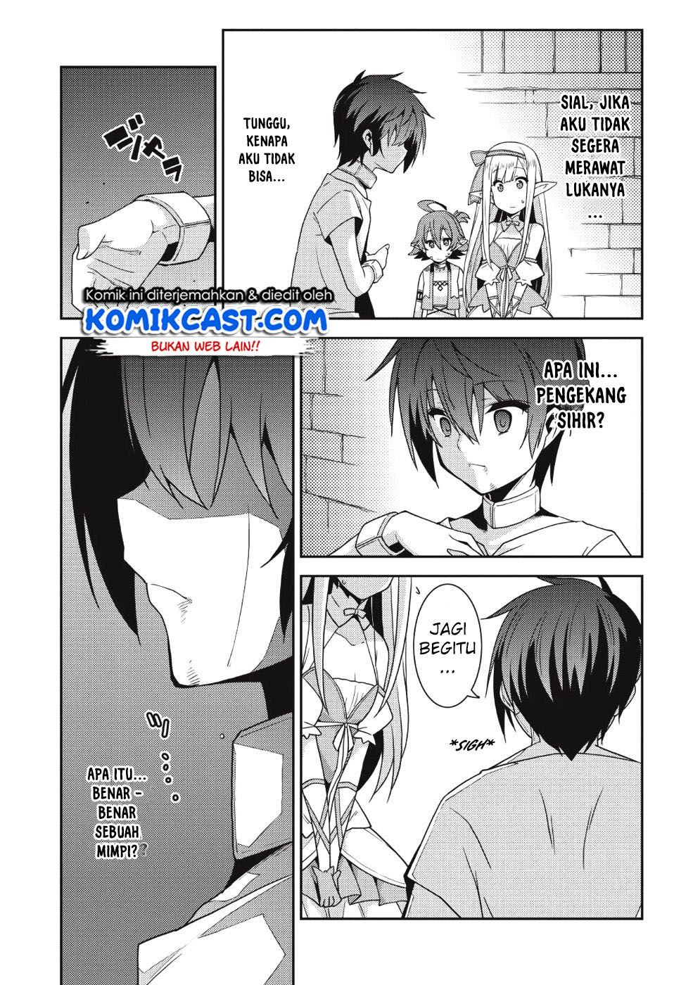 Seirei Gensouki (Minazuki Futago)