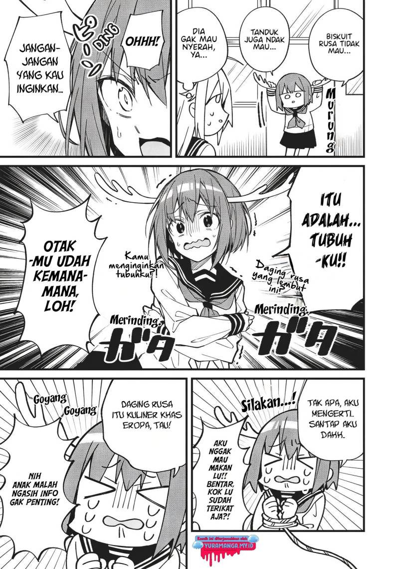 Shikanoko Nokonoko Koshitantan