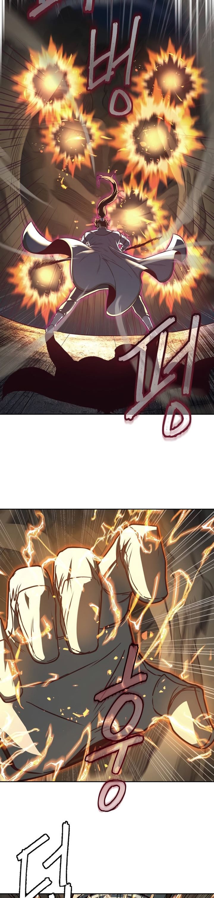 Sword Fanatic Wanders Through The Night
