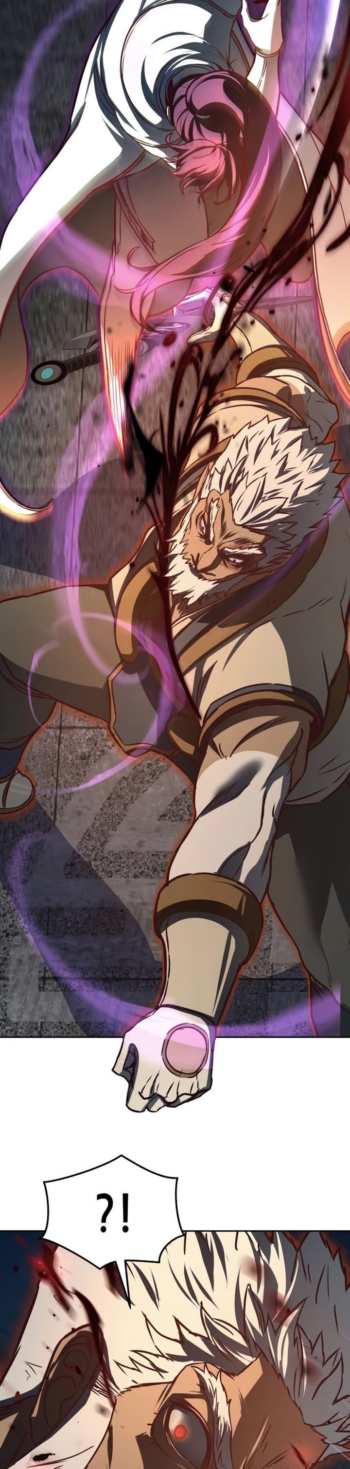 Sword Fanatic Wanders Through The Night