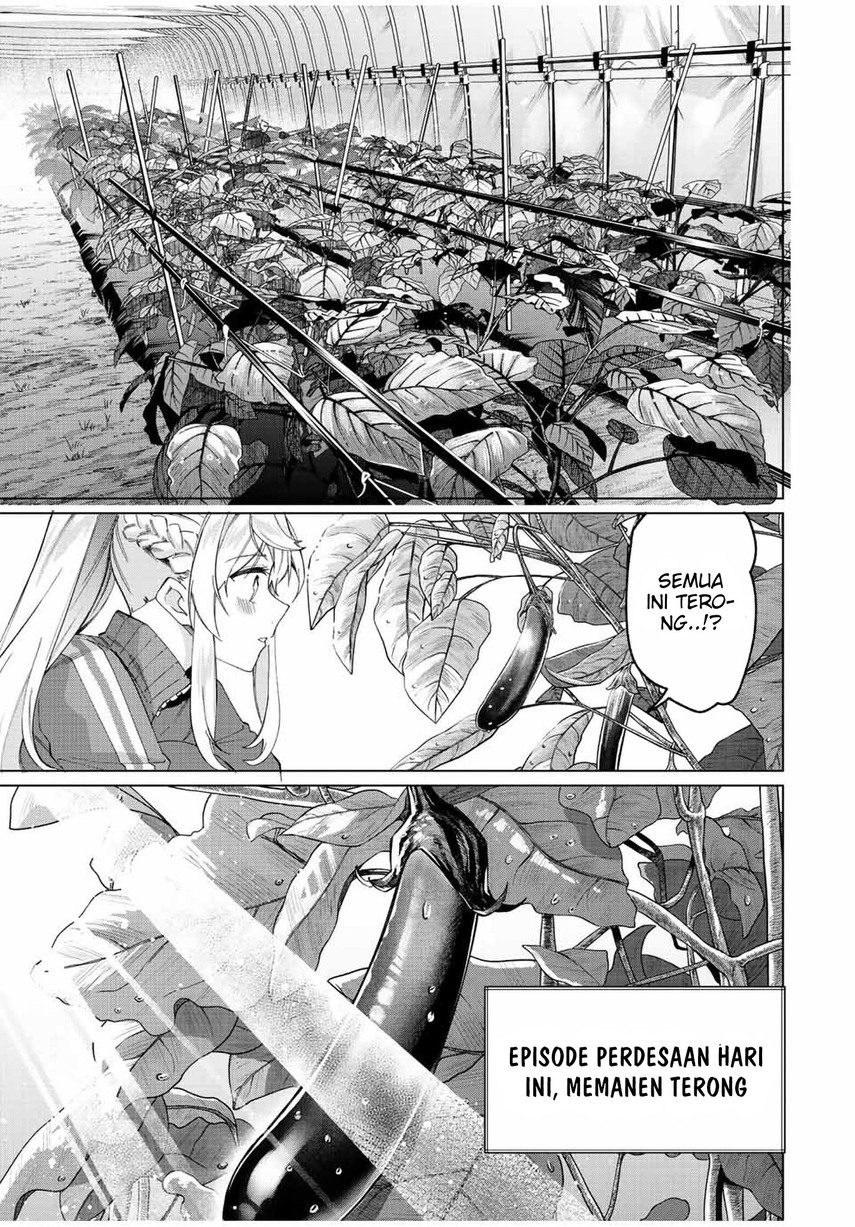 Tanbo de Hirotta Onna Kishi, Inaka de Ore no Yome da to Omowareteiru