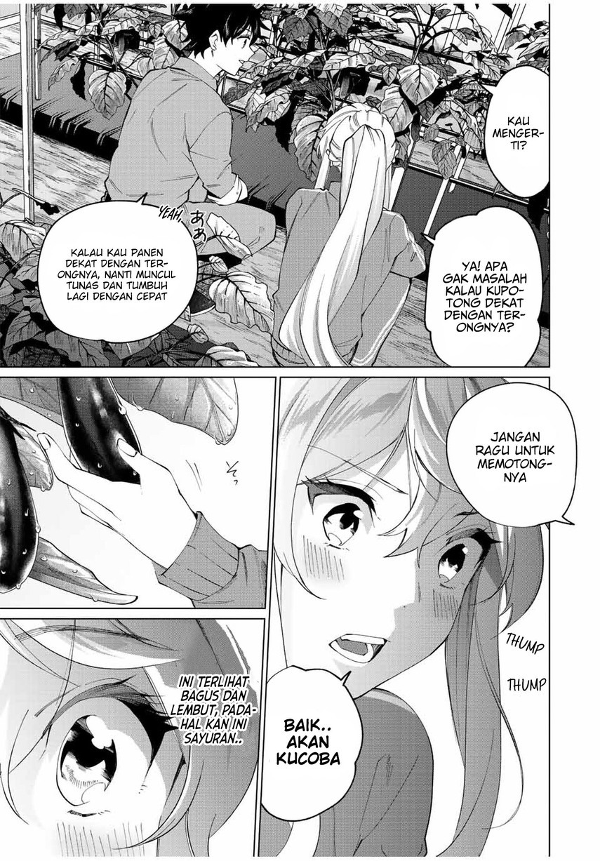 Tanbo de Hirotta Onna Kishi, Inaka de Ore no Yome da to Omowareteiru