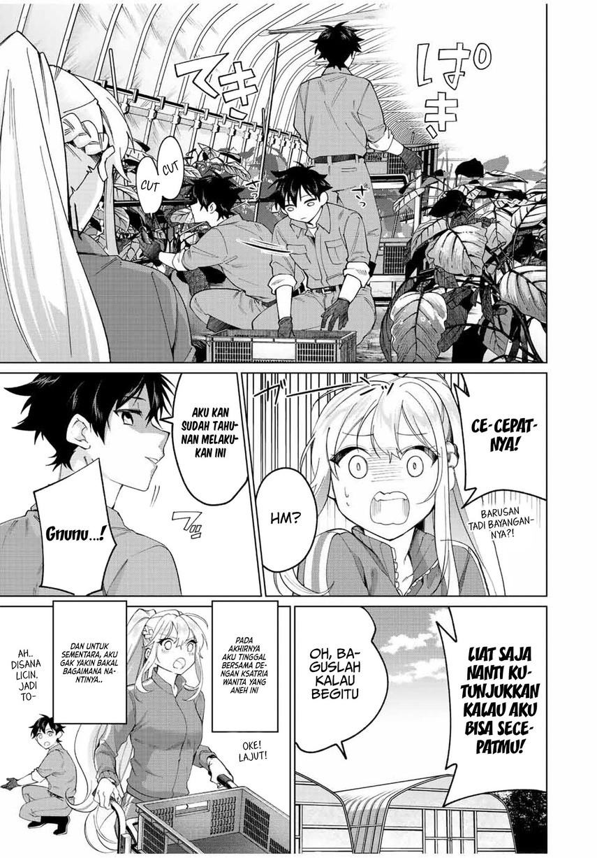 Tanbo de Hirotta Onna Kishi, Inaka de Ore no Yome da to Omowareteiru