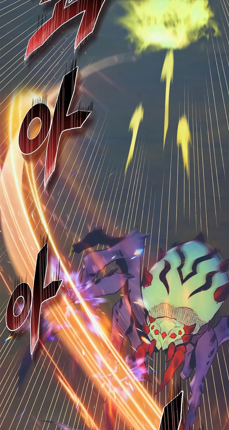 The Healing Priest Of The Sun