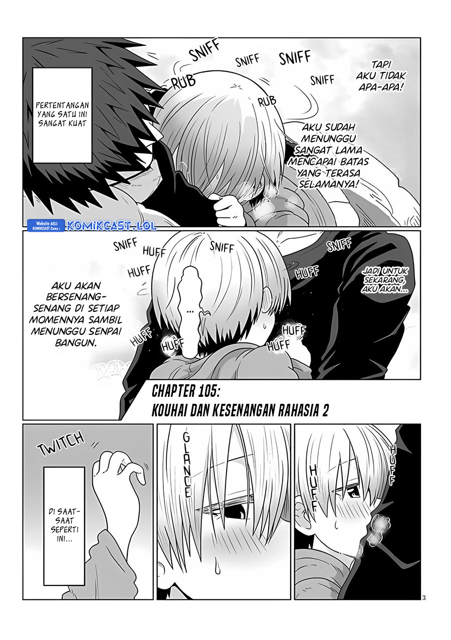 Uzaki-chan wa Asobitai!