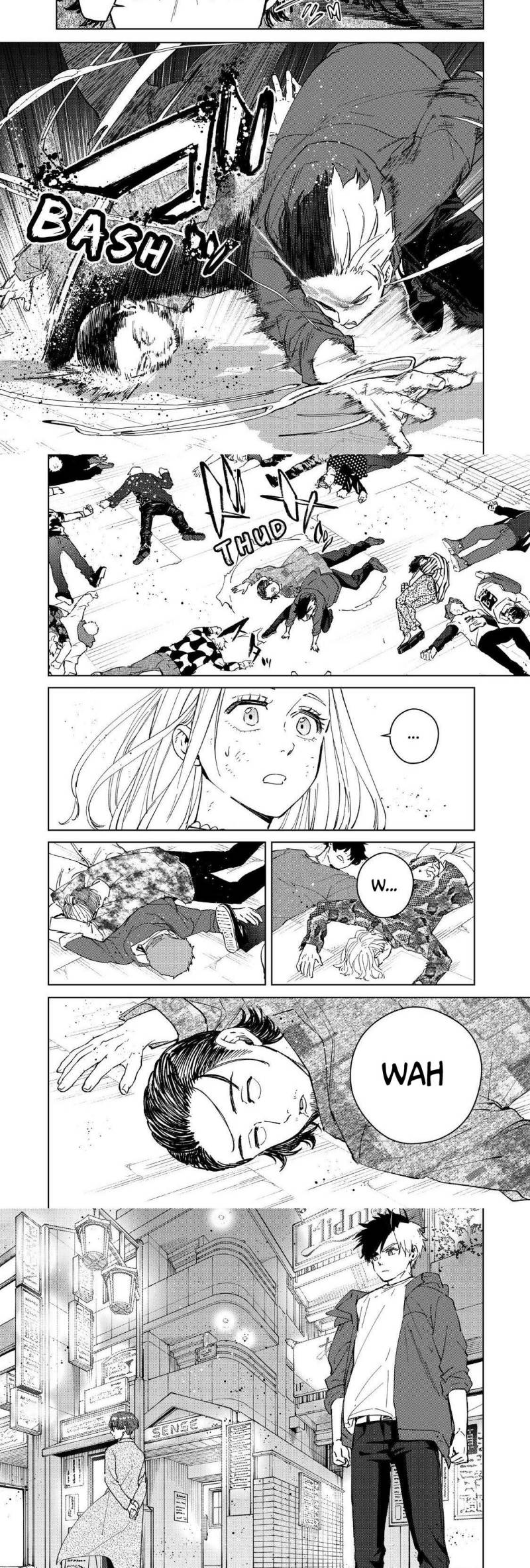 Wind Breaker (NII Satoru)