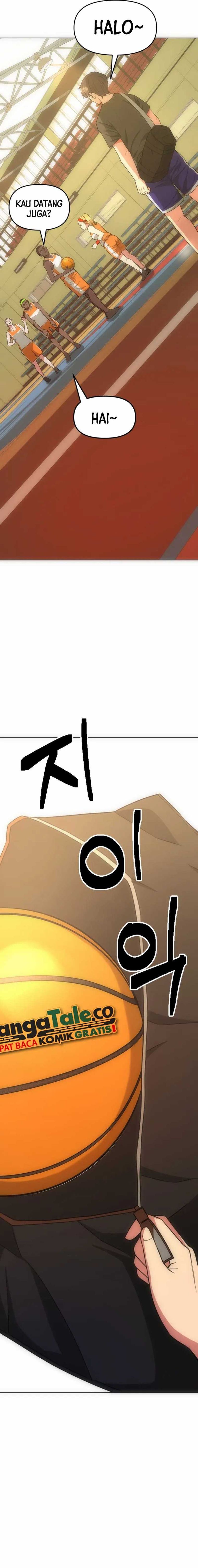 Y13
