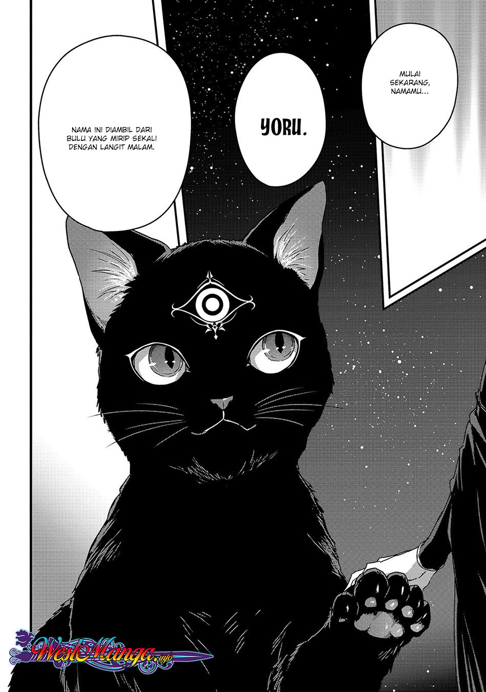 Assassin de aru ore no Sutetasu ga Yuusha yori mo Akiraka ni Tsuyoi Nodaga
