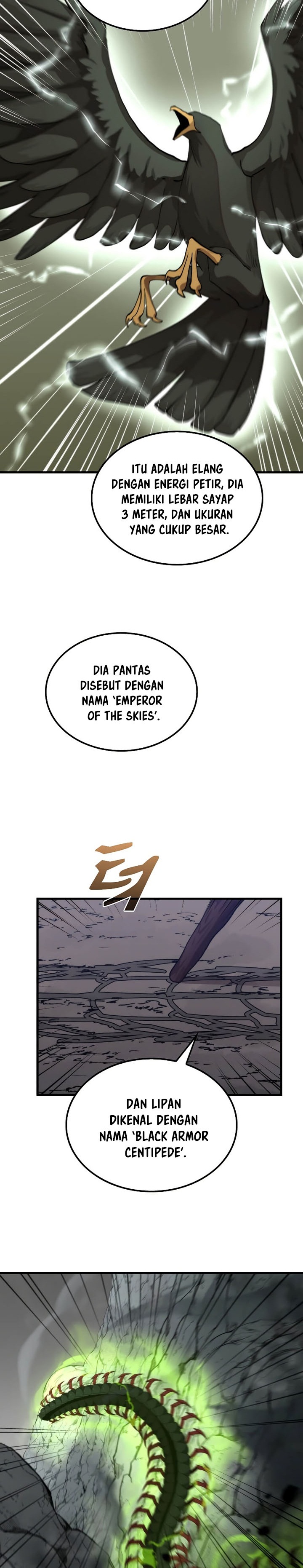 Doctor’s Rebirth