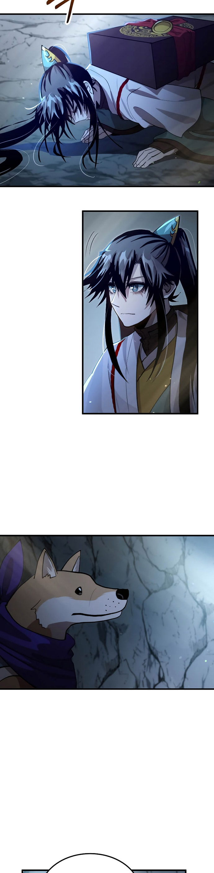 Doctor’s Rebirth
