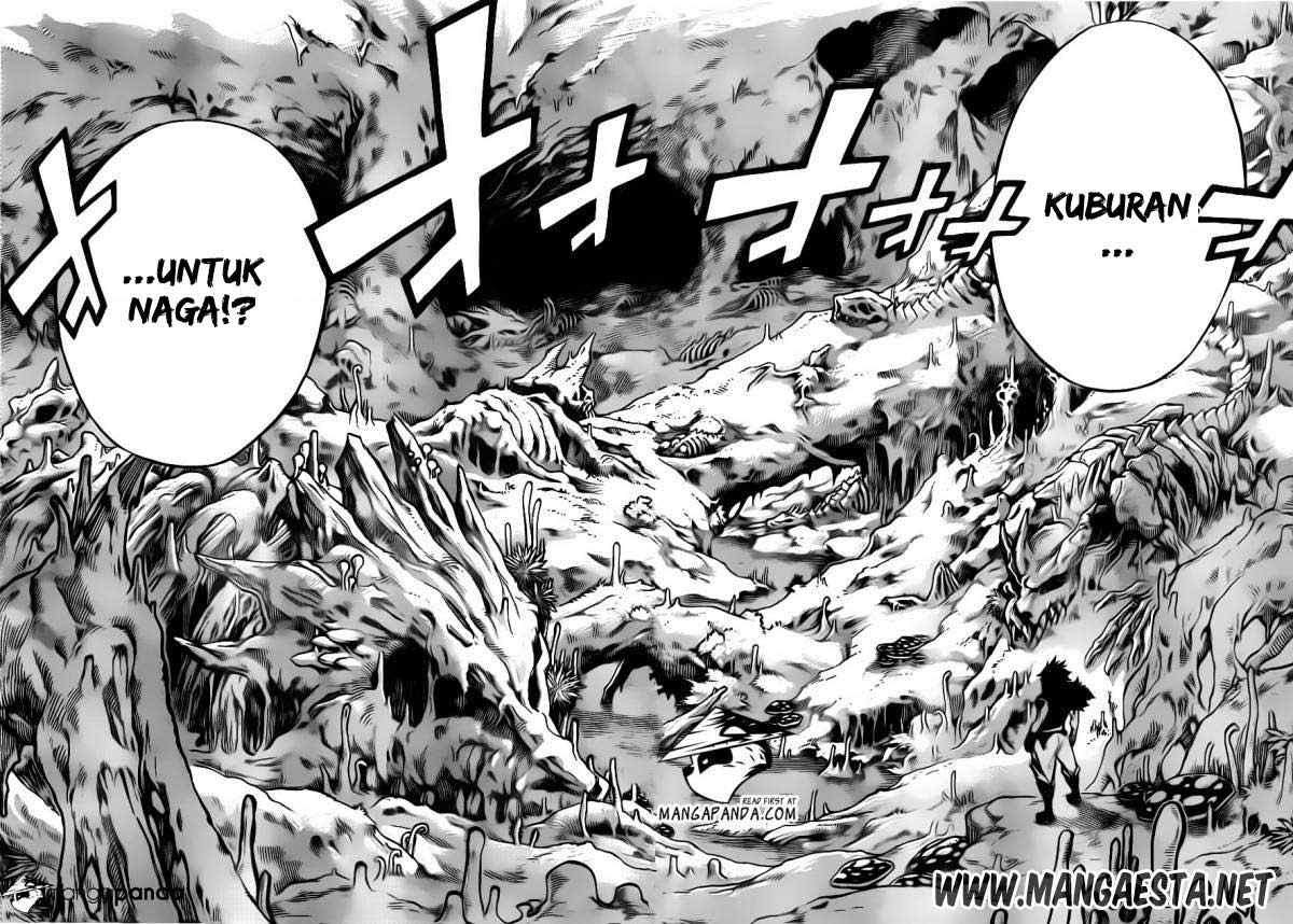 Fairy Tail Chapter 297