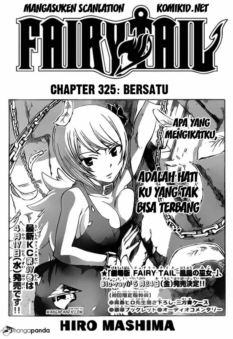 Fairy Tail Chapter 325