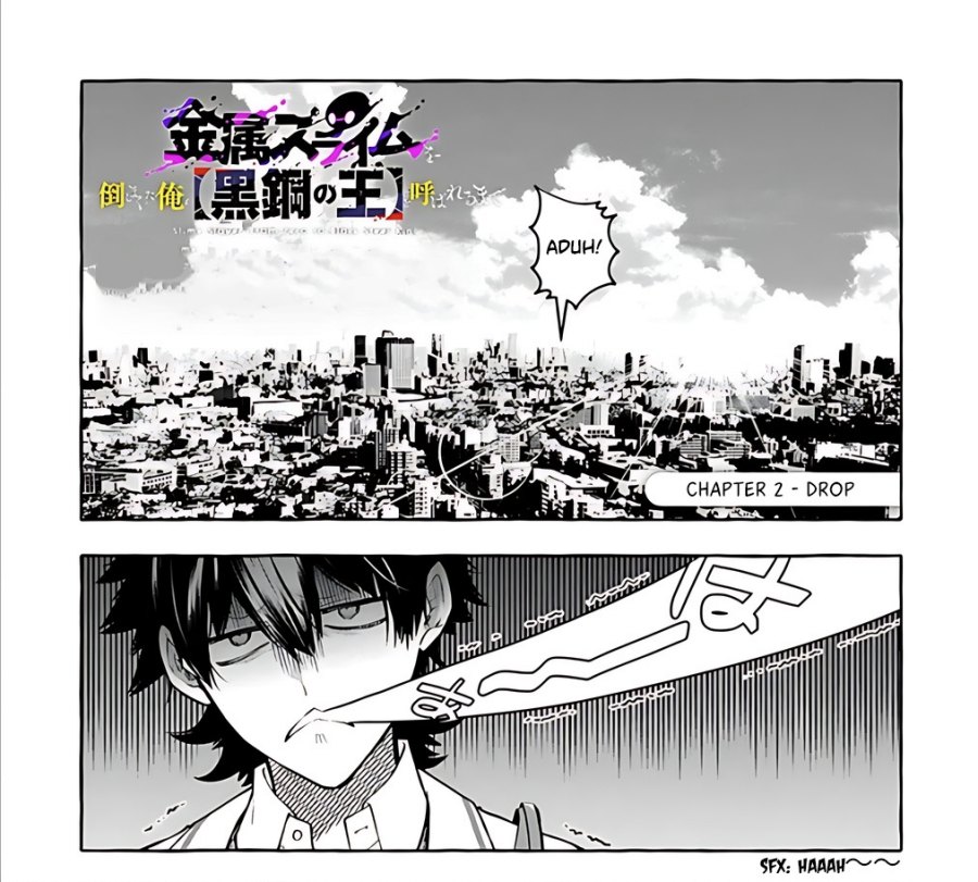 Kinzoku Slime wo Taoshi Makutta Ore ga “Kurokou no Ou” to Yobareru Made