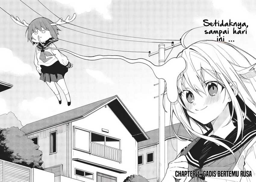 Shikanoko Nokonoko Koshitantan