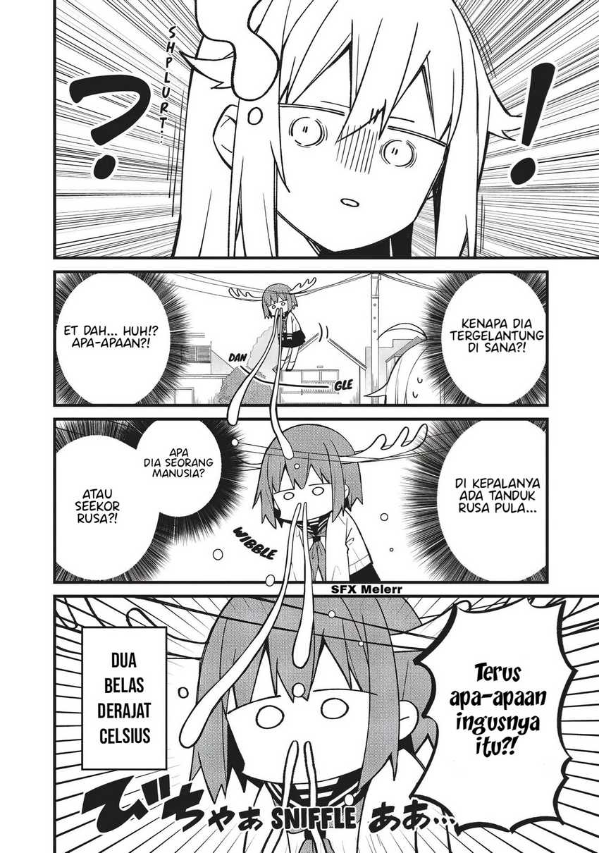 Shikanoko Nokonoko Koshitantan
