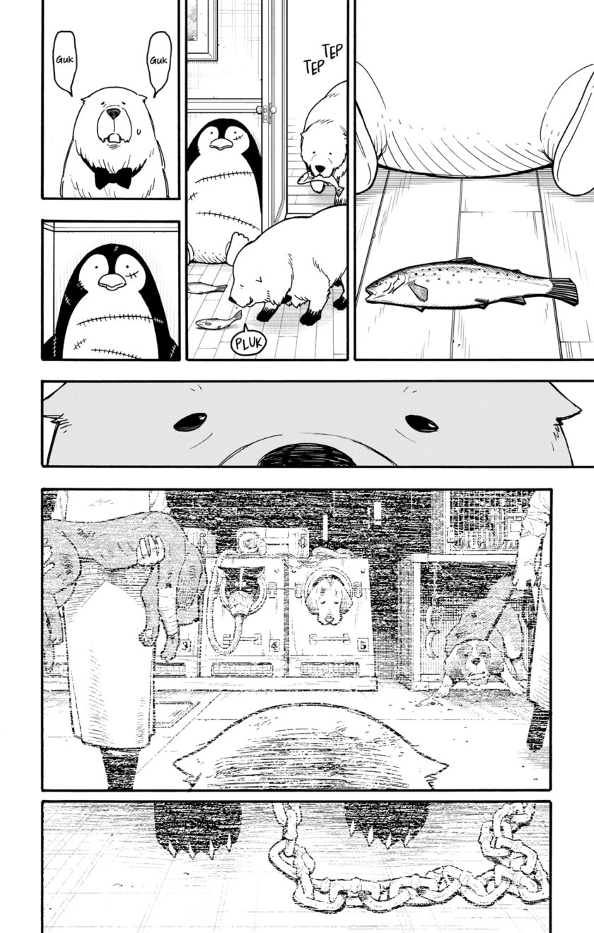 Spy X Family
