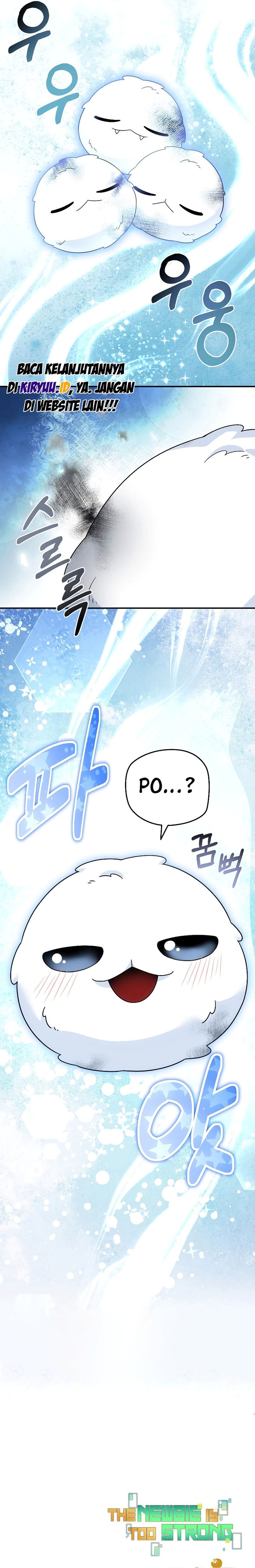 The Newbie Is Too Strong
