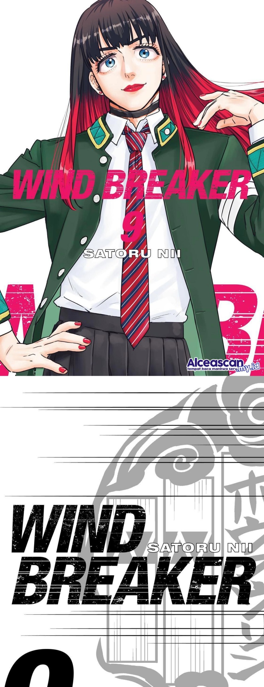 Wind Breaker (NII Satoru)
