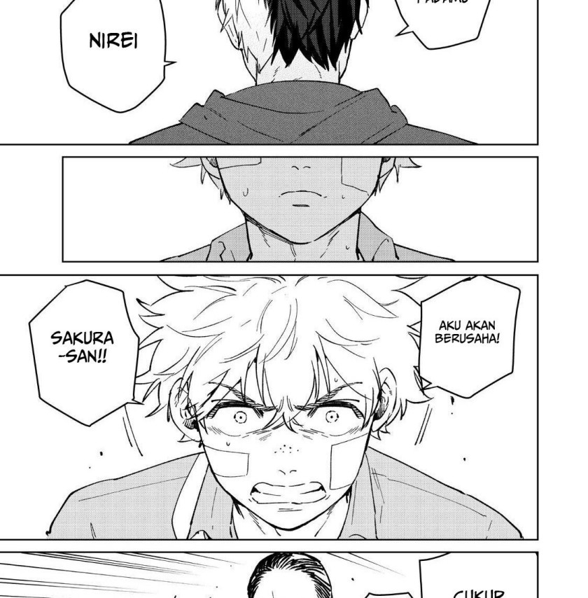 Wind Breaker (NII Satoru)