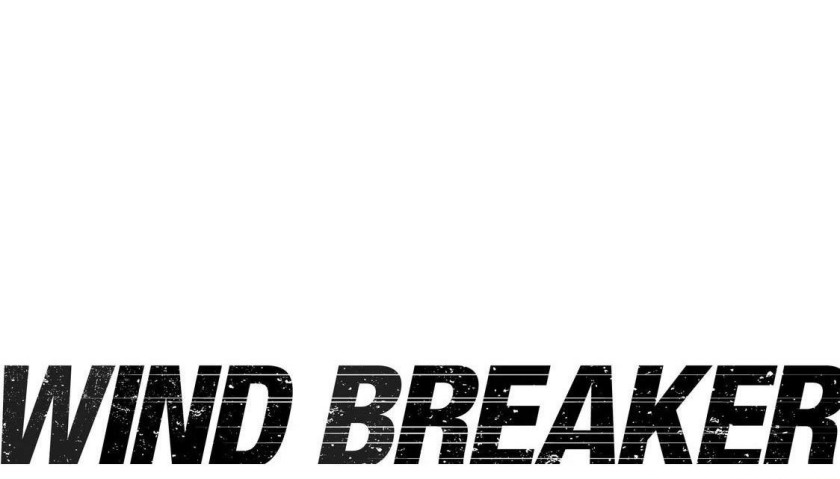 Wind Breaker (NII Satoru)