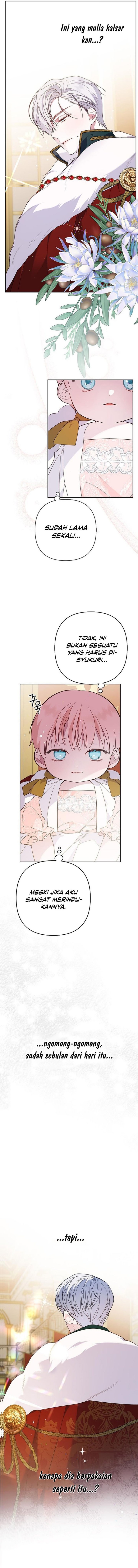 Baby Tyrant