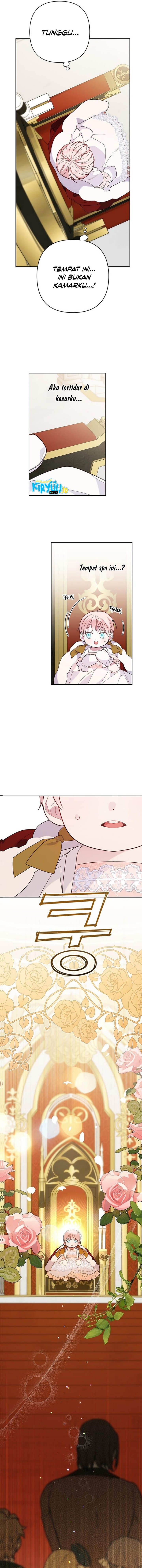 Baby Tyrant