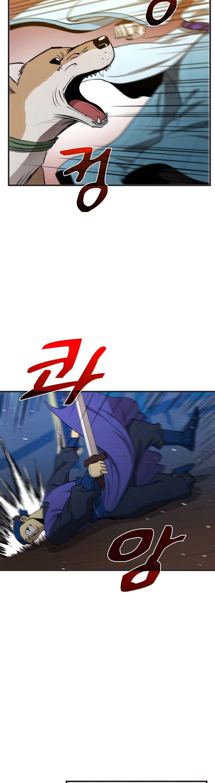 Doctor’s Rebirth
